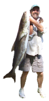 nick cobia